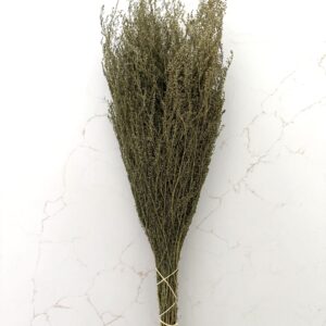 Dried Sweet Annie