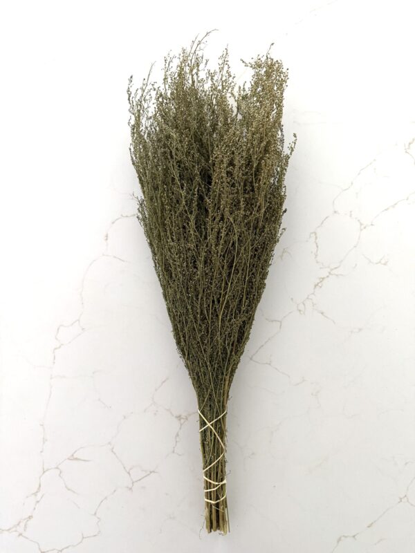 Dried Sweet Annie