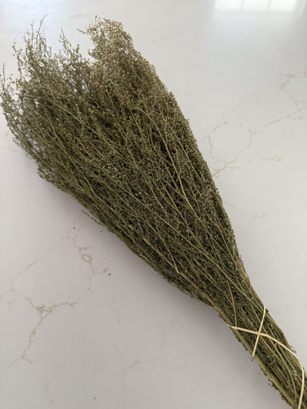 Dried Sweet Annie - Image 2